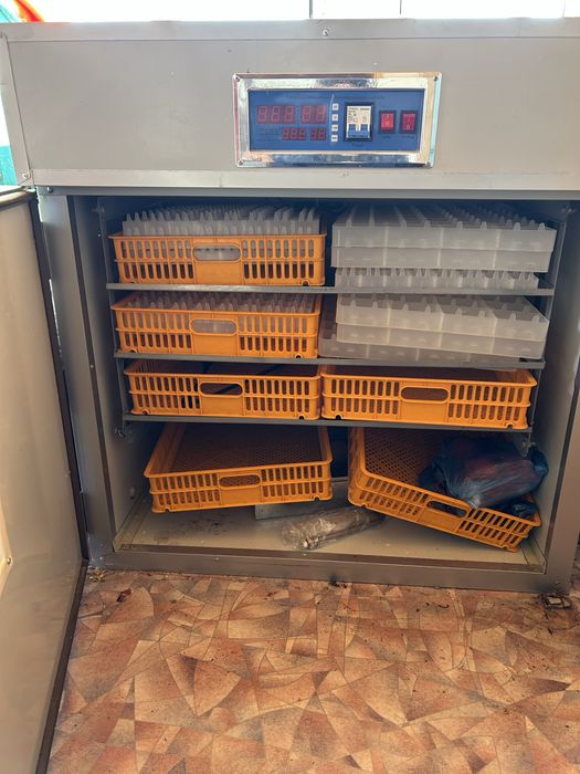 Инкубатор бизон 528