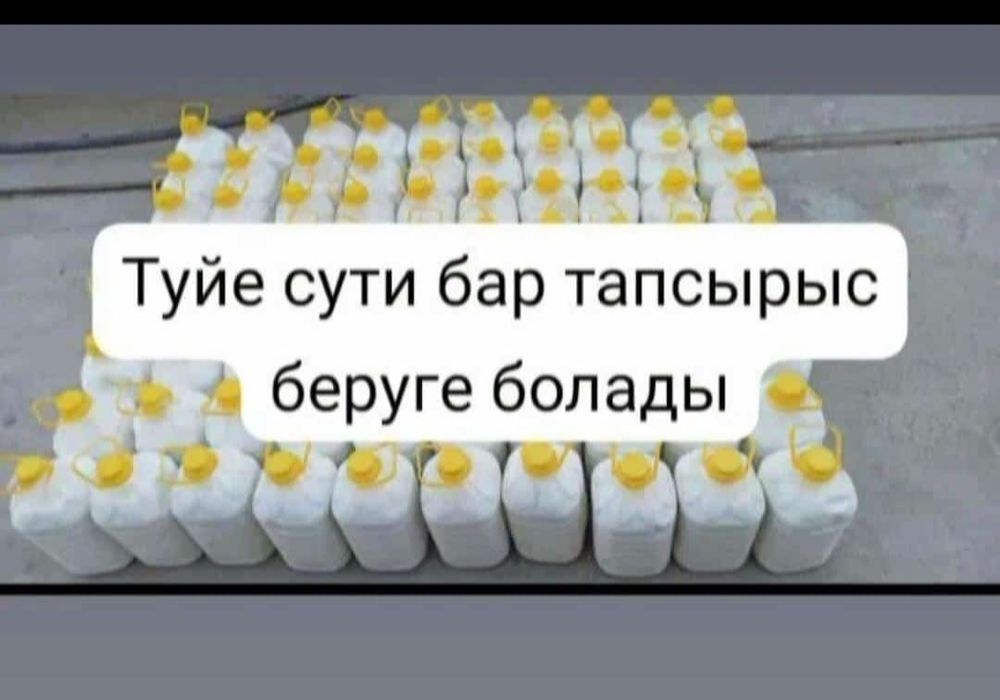 Колдын майы сатылат