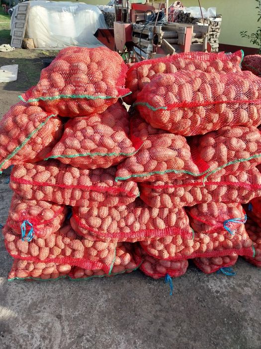 Vând Cartofi consum alb și roz