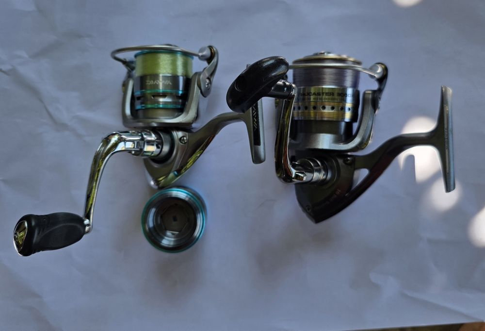 Mulinete Daiwa Procaster