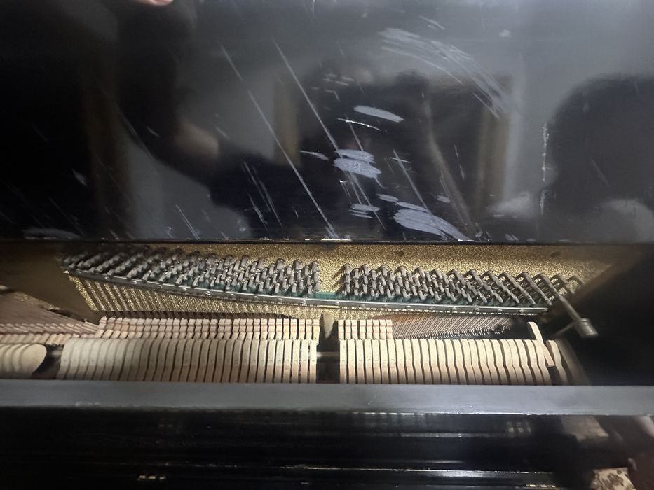 Фортепиона Беларусь