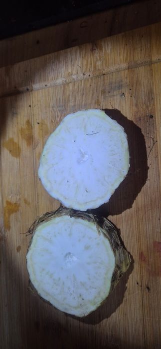 Cartofi Polonia rosii / albi si diferite legume