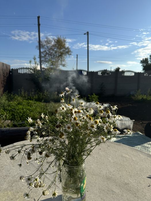 Продам дом удобно для ваедения собственного хозяйства