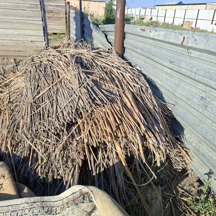 Камыс сатылады срочно