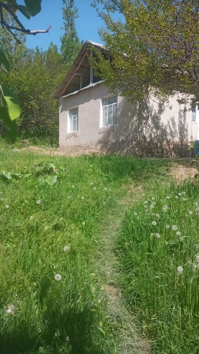 Прадаю дом с садом сад болшой