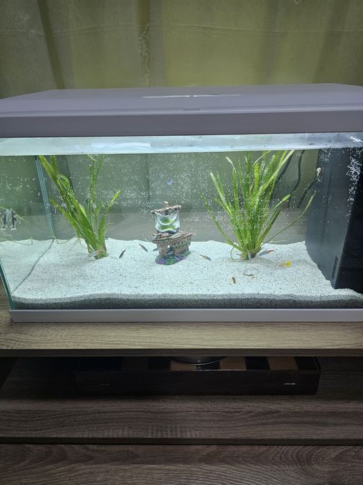 Acvariu 60 l cu capac