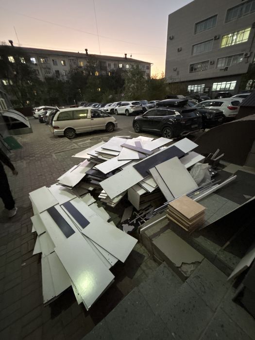 дерево агаш отдам даром