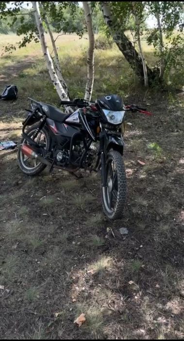 Алфа рс12 в нормальной состоянии