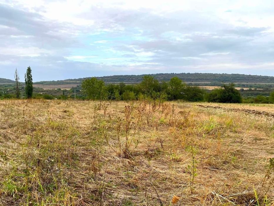 Продава се Парцел в с. Церова кория, Област Велико Търново - 800 кв.м за 12 €/кв.м - Снимка #1