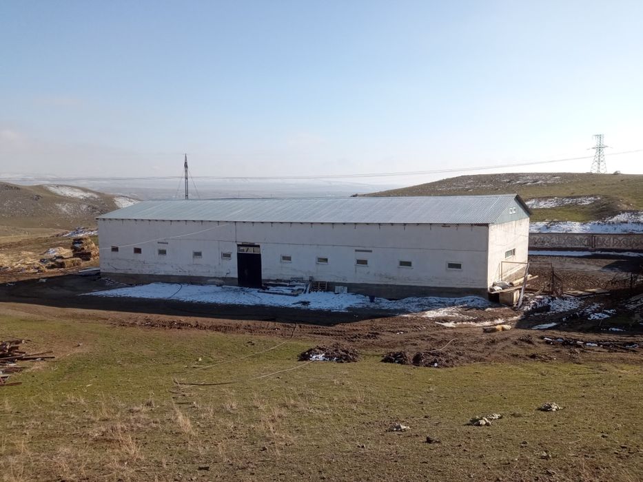 Продается фазенда