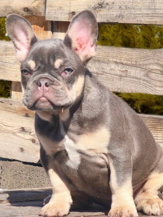 Замечательная девочка