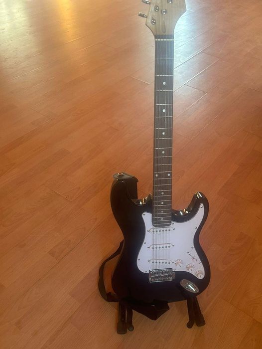 Электрогитара , Terris