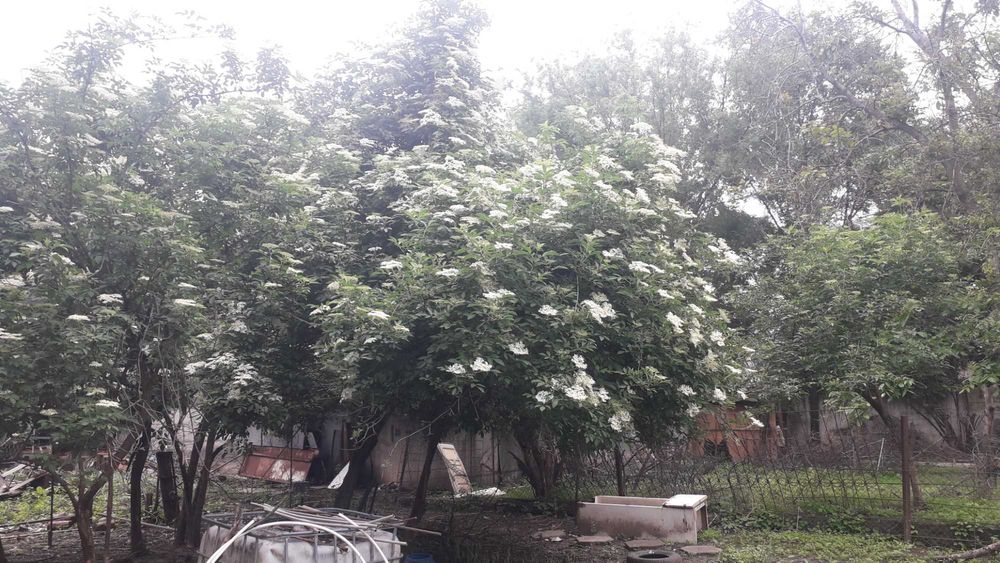 участок 26 соток  в Тастыбулаке