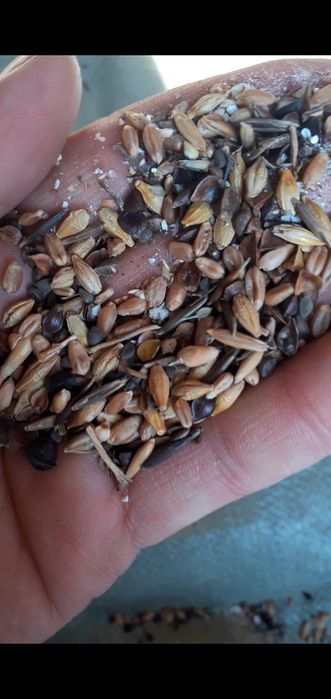 Отходы Отходы зерноотходы