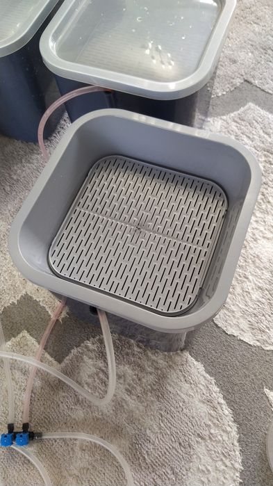 Проращиватель семян, микрозелень