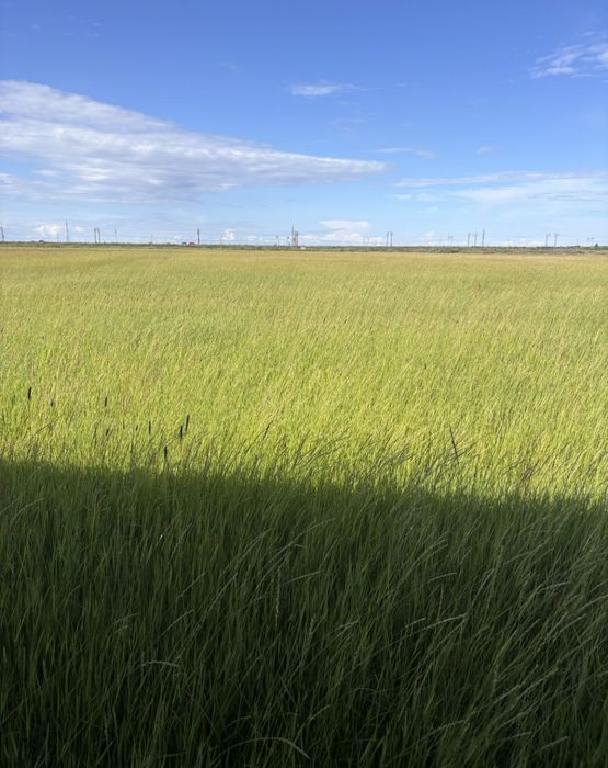 Тюк 550₸ сатылады