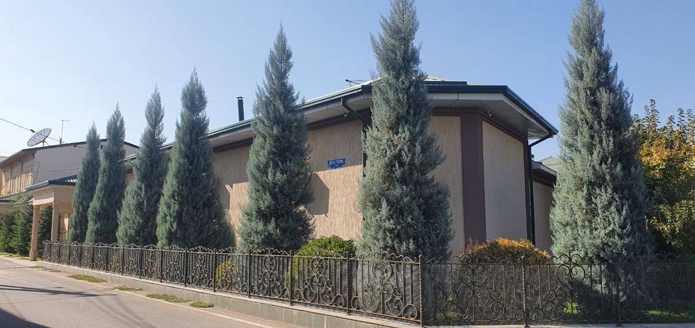 Аризонский кепарис (Италия)