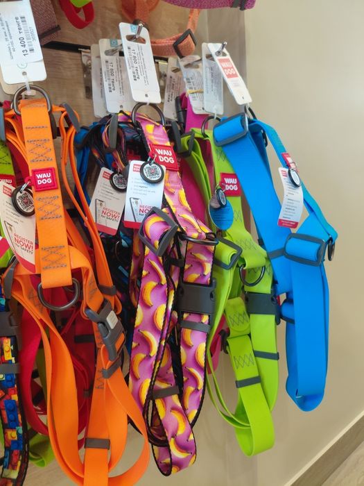 Ошейники, поводки, шлейки