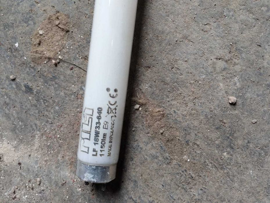 Лампа дневного света