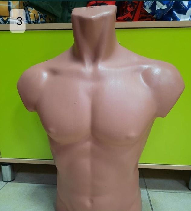 Продам   манекен - торсы