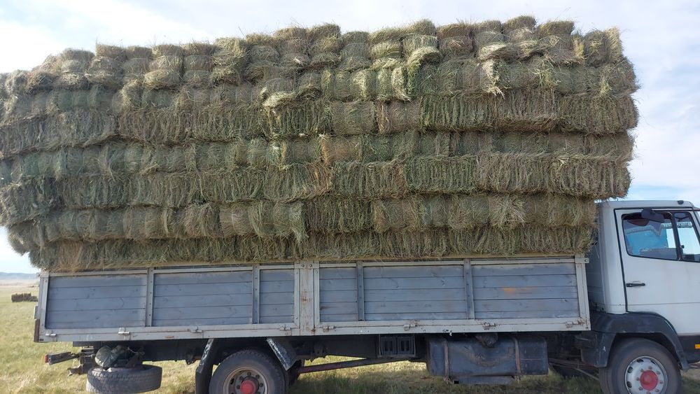 Сено разнотравя.