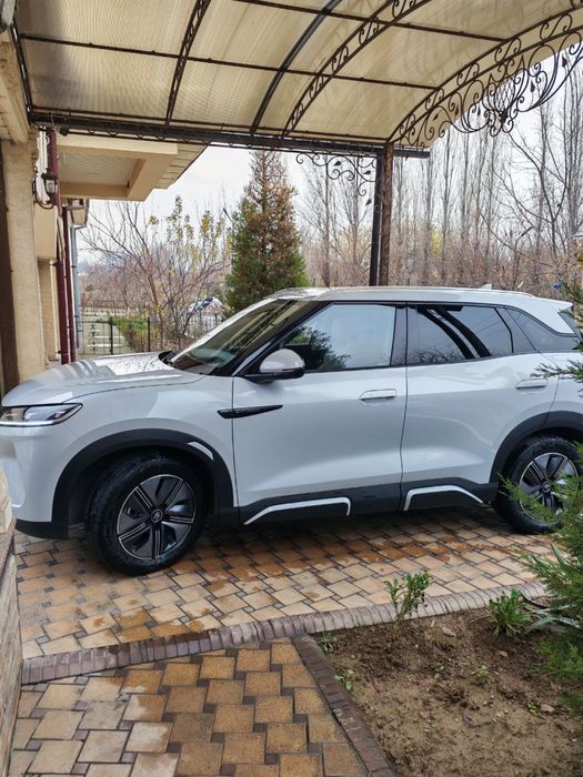 Byd Yuan up 2024 yil