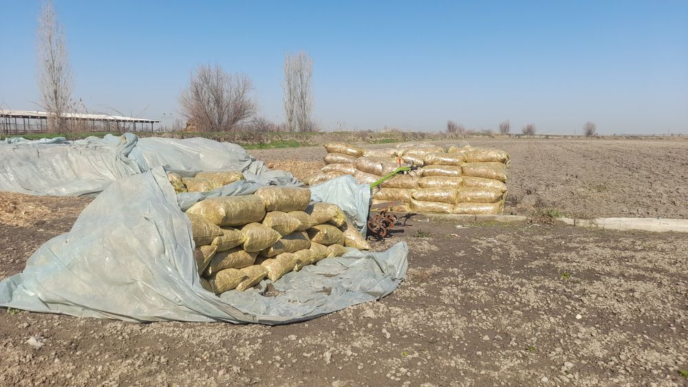 Silyos bor 750 so'm 50 tonacha