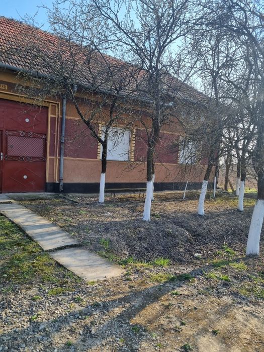 Casa si doua livezi in localiatea Somoscheș