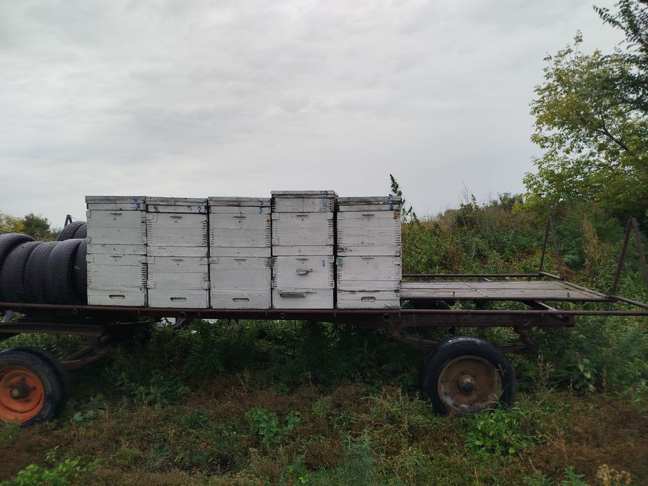 Пчелоприцеп с ульями 12 штук 3-х корпусные .рамка дадан . 10 рамочные