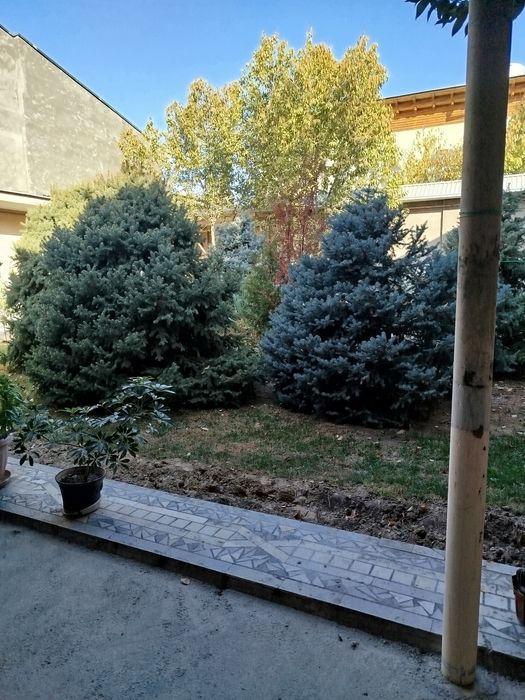 Юнусобод тумани Отчопар 1  махалласида уй сотилади