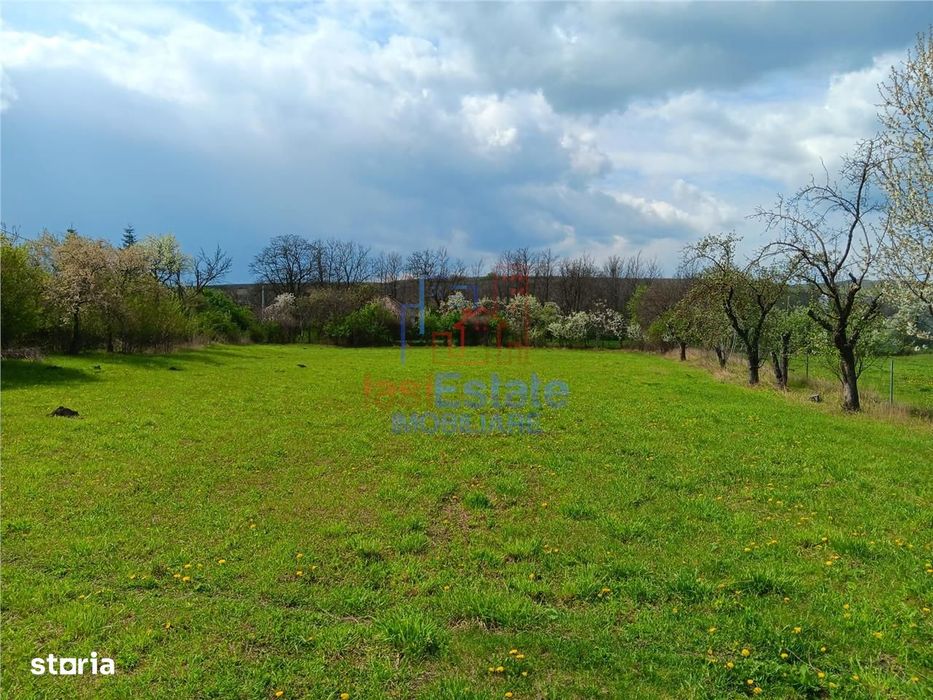 Badeni com Scobinti  Iasi Teren 4239mp  parcelabil si constructii 245m