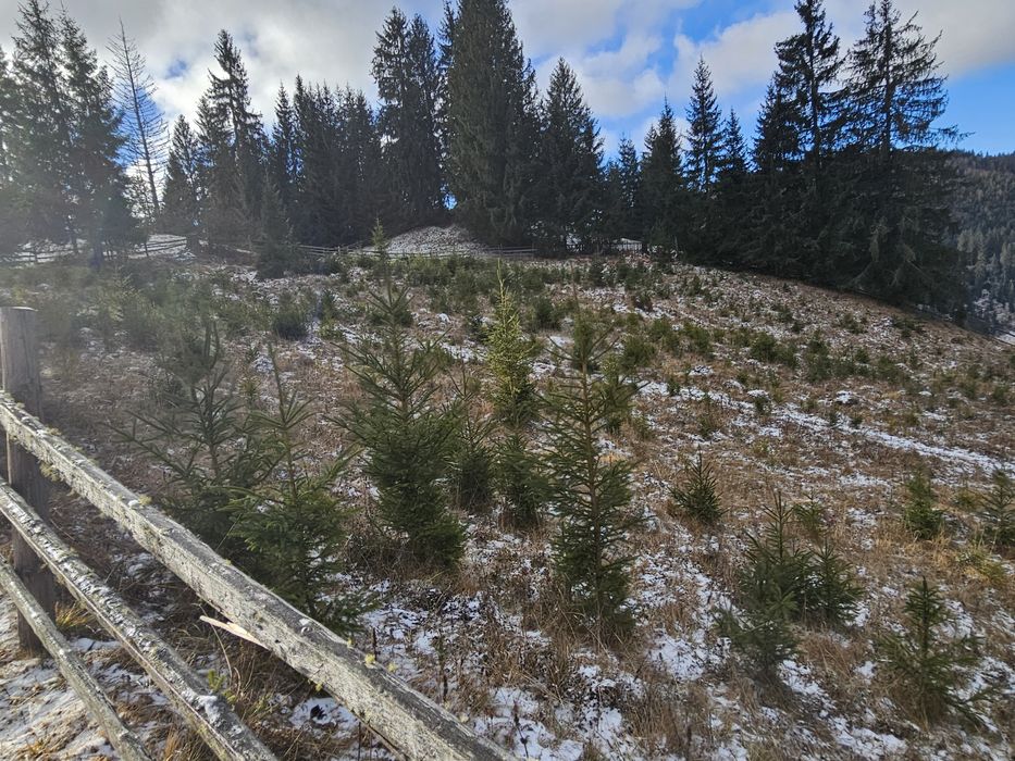 Teren de vanzare in Bucovina Comuna Breaza