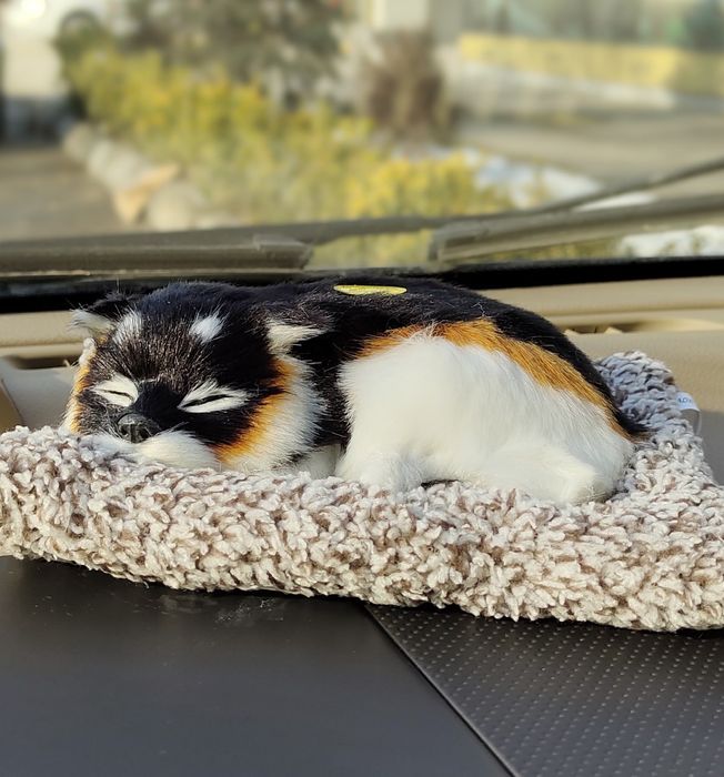 Милые щенки  как декор в авто подарок