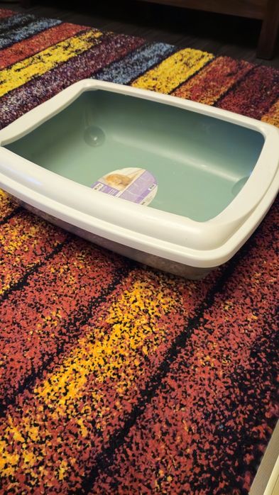 Litiera pentru pisici