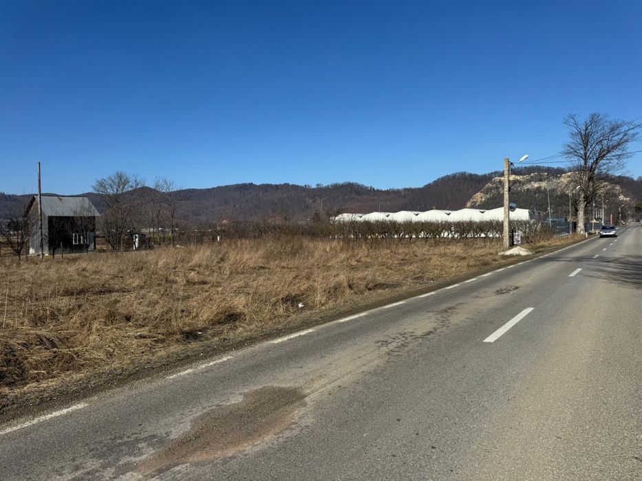 Vand 4600 mp Teren langa Trutzi