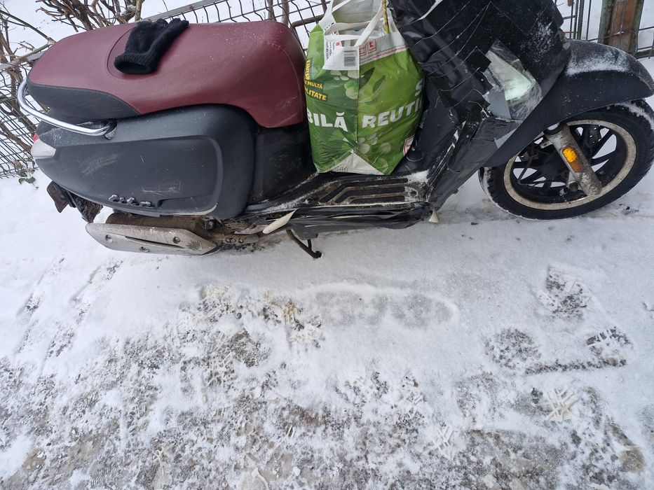 Carene fata si laterale