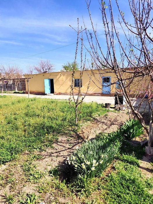 Xovli sotiladi, Navoi, karmana