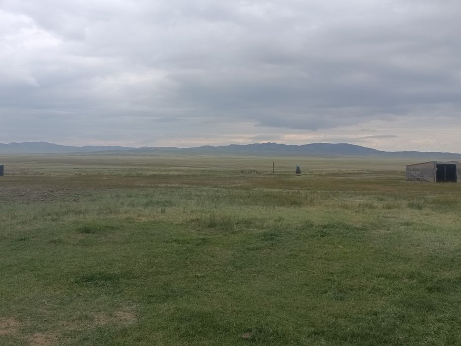 Зимовка, крестьянское хозяйство
