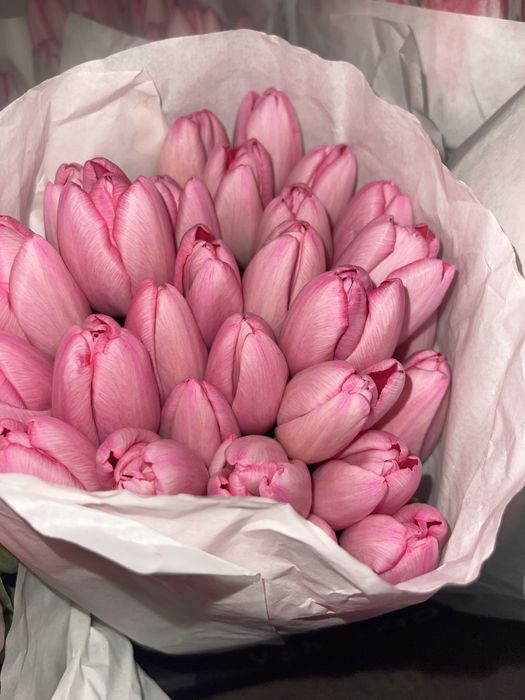 Тюльпаны оптом 350