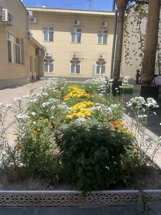 Гостиница Mehmonxona Samarqand