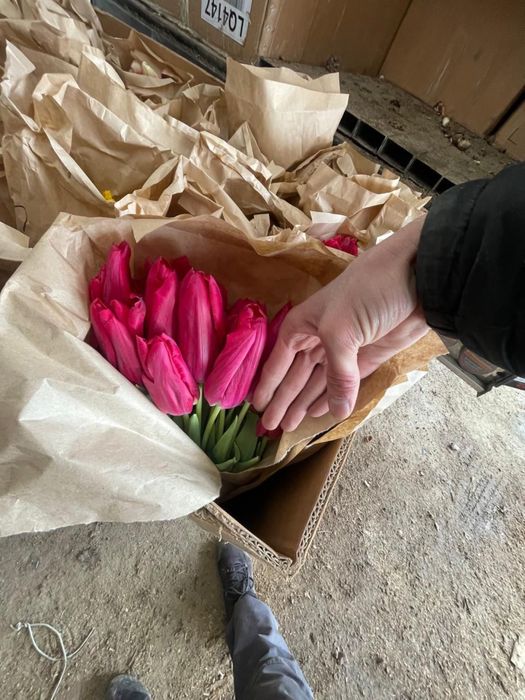 Тюльпаны оптом и в розницу Астана