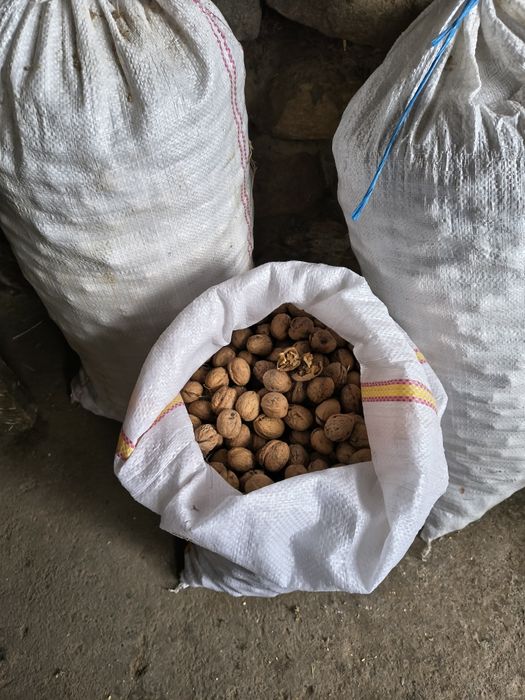 Nuci de vânzare f bune