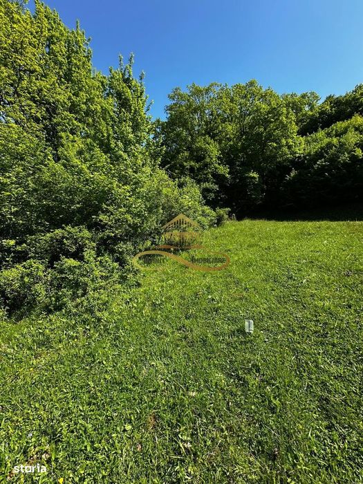 Teren intravilan de vanzare 1439 mp Luncani strada Slatinei - Bacau