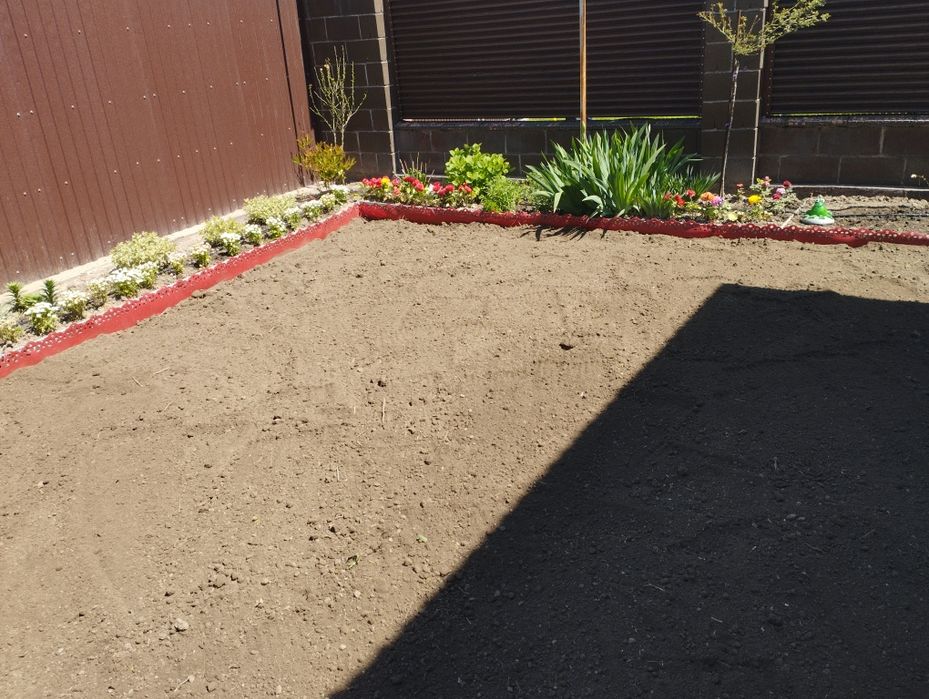 Сеем газон с гарантией