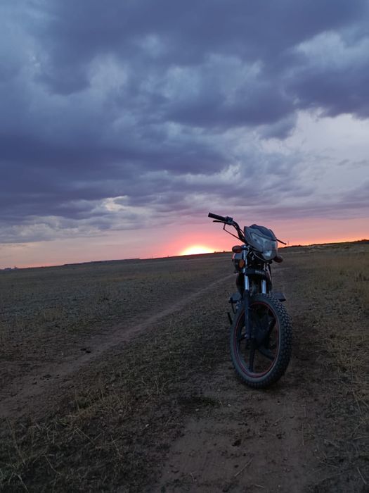 Альфа SHARK 125 куб