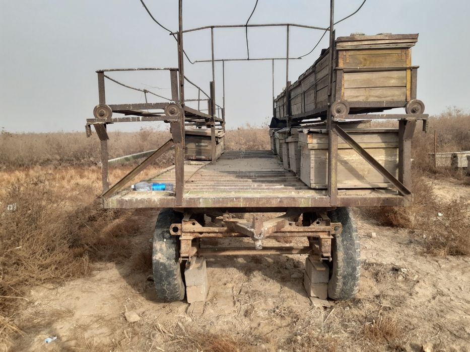 Пчелоприцеп на 36 ульев