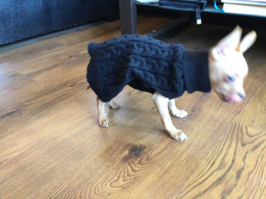 НОВ топъл черен зимен луксозен пуловер за куче от Италия S и M размер