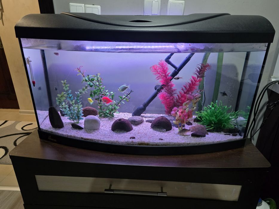 Аквариум Diversa Startup 80 Oval