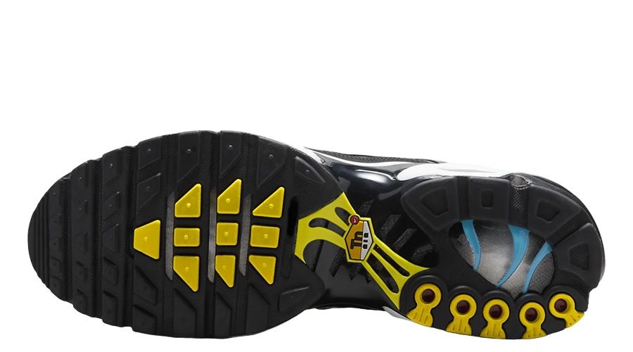 Nike Air Max Plus "Tropical Gradient" HV2526-001