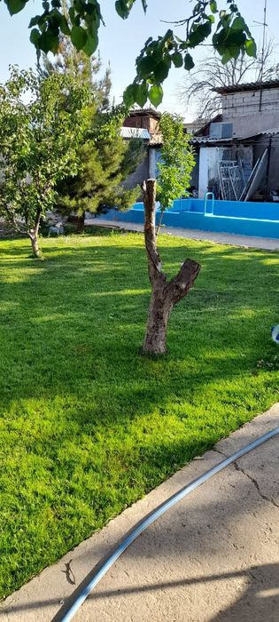 Dacha sotiladi Bostonliq Bochkaga 15-20 km yetmasdan